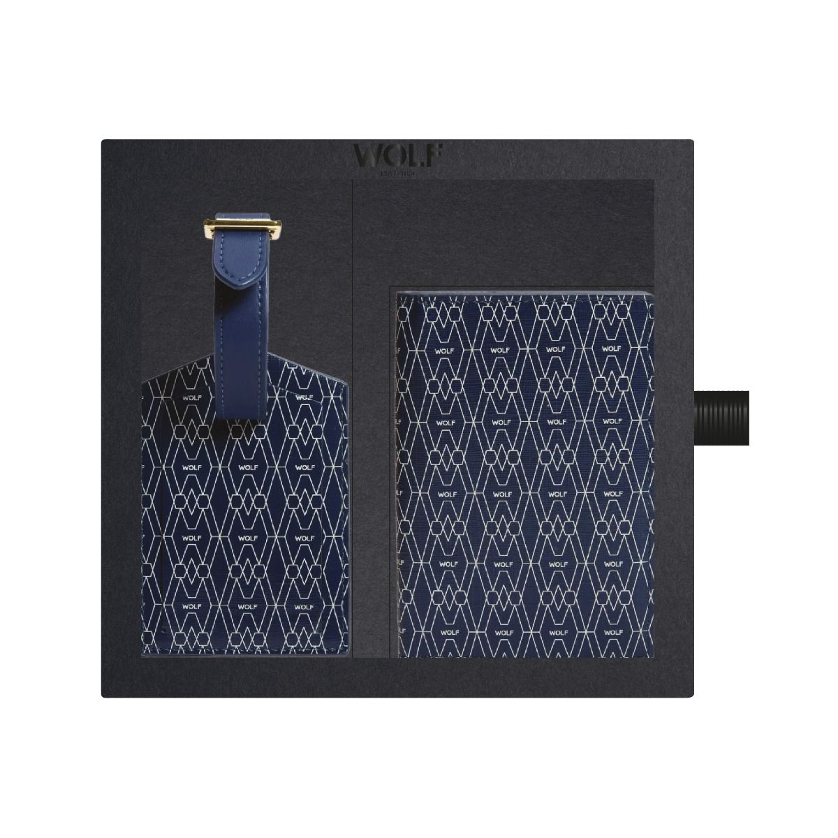 Signature Passport & Luggage Tag Gift Set blue