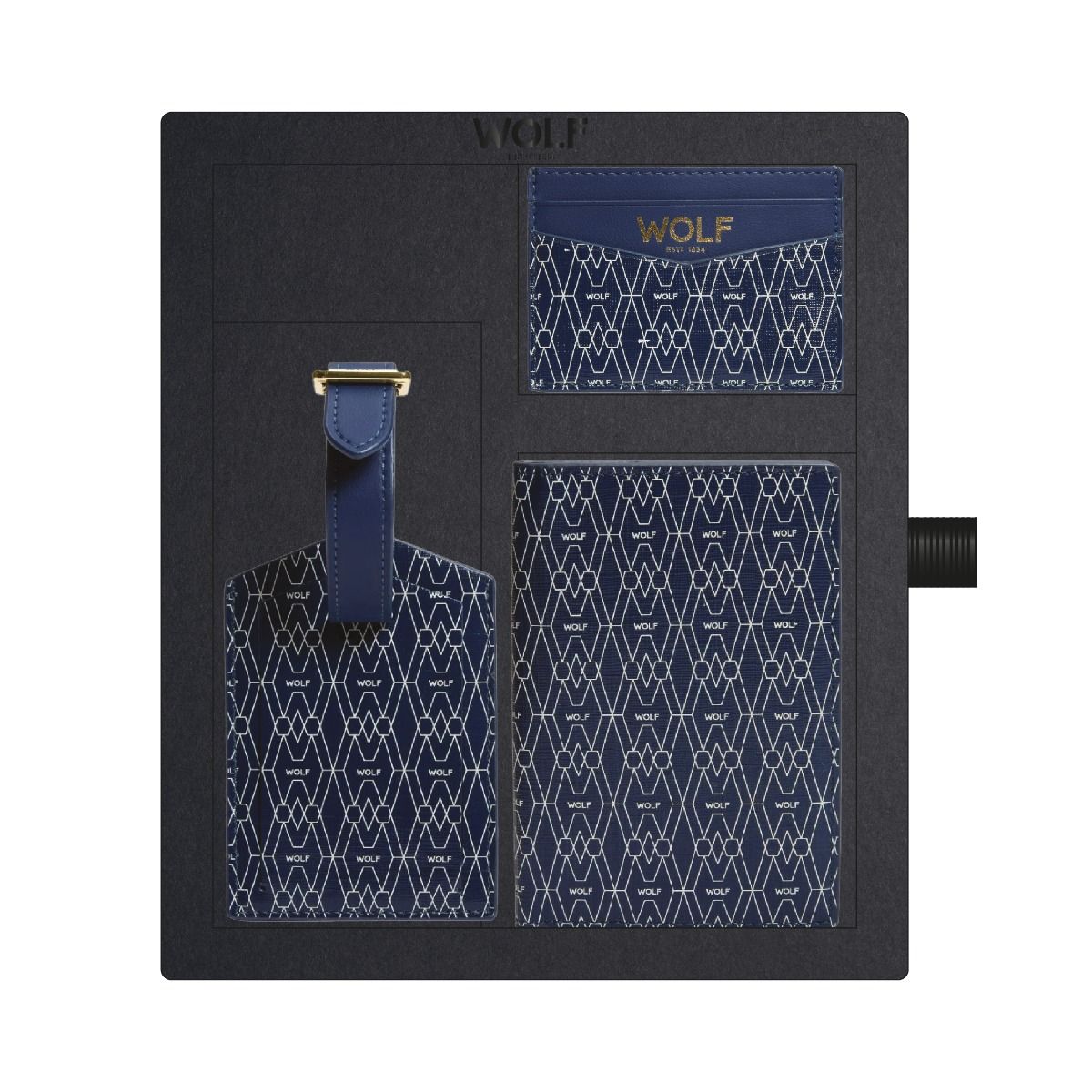 Signature Passport, Card Case & Luggage Tag Gift Set blue